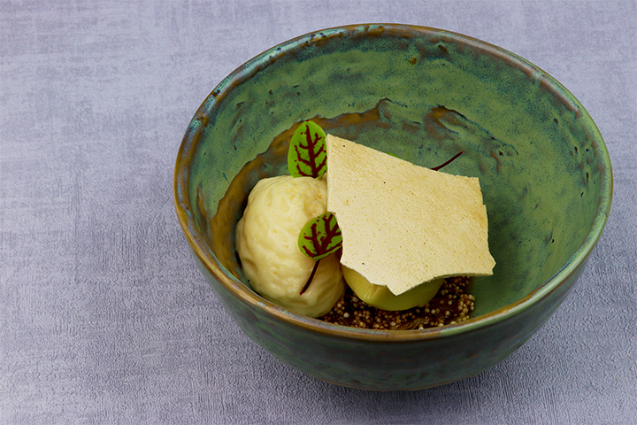 Ananas Guave Aus Samen Ziehen